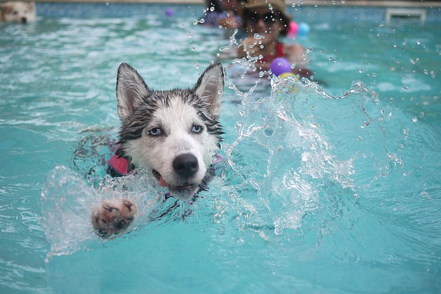 Weekly pool service